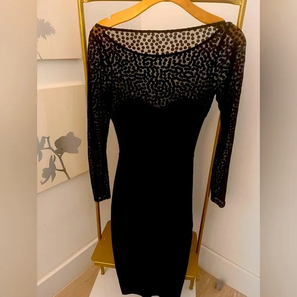 American apparel sheer midi bodycon dress, small - Picture 6 of 13